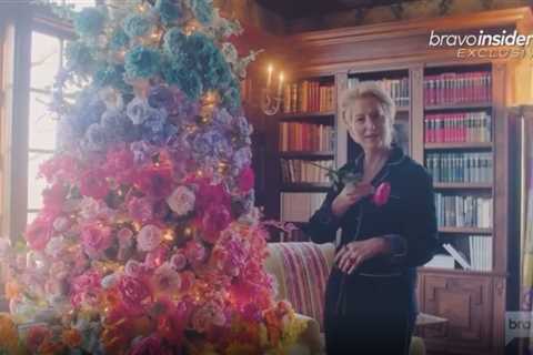 RHONY’s Dorinda Medley shows off wild Christmas decorations including gingerbread house inside $2M..