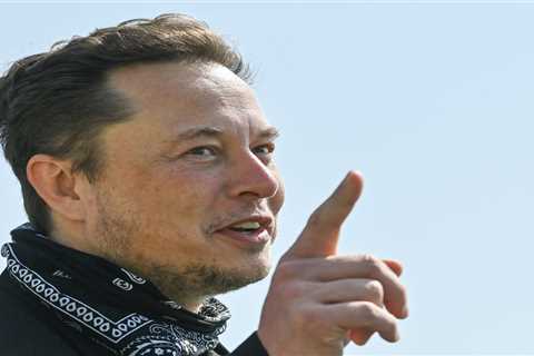 Elon Musk accuses the SEC of 'endless, unfounded' investigations into him and Tesla while..
