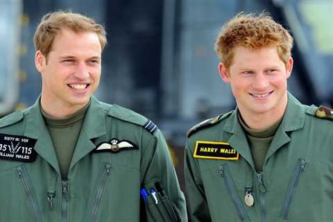 The Crown is casting Prince William and Harry for final season of Netflix show – here’s how YOUR..