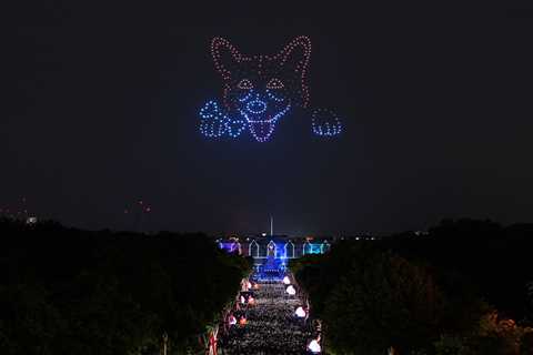 Royal fans amazed as drones of the Queen, her handbag & a corgi light up Buckingham Palace in..