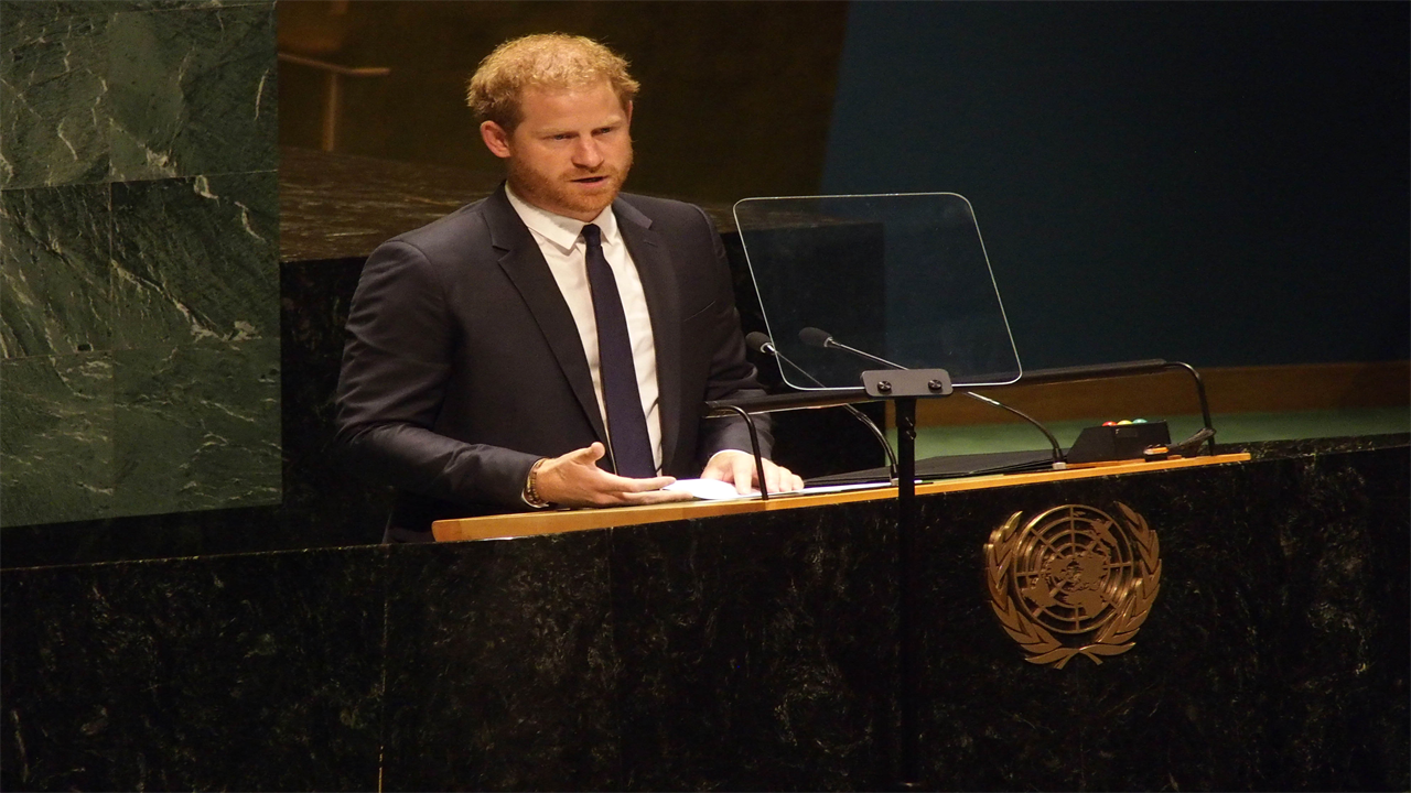 Prince Harry accused of ‘copying and pasting’ William’s speech when he addressed UN by fans