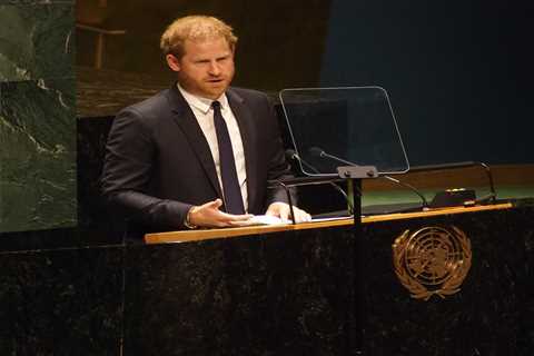 Prince Harry accused of ‘copying and pasting’ William’s speech when he addressed UN by fans