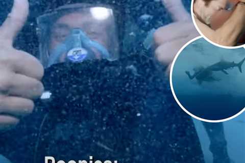 Jackass Stars Return to Shark-Filled Waters After Surviving Nasty Shark Attack: 'I Thought I Was..