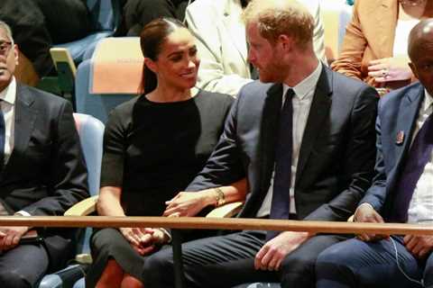 Hidden Meaning Behind Prince Harry, Meghan Markle’s United Nations PDA