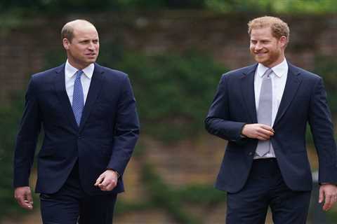 The reason Prince Harry & Wills won’t reconcile for months – & even then their feud might..
