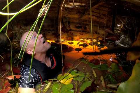 I’m A Celeb’s Mike Tindall ends up with spider on his head as he’s submerged in water for Critter..