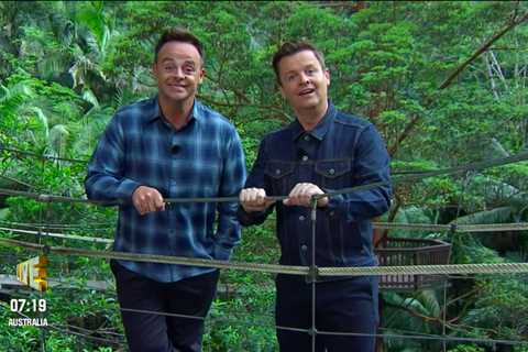 I’m a Celebrity fans shocked as host Declan Donnelly swears during show