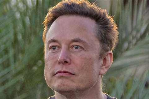 Elon Musk Says 'Crazy Stalker' Attacked His Car While Son Was Inside