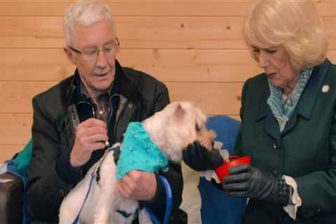 Paul O’Grady For The Love of Dogs viewers in tears during emotional episode featuring Queen Consort ..