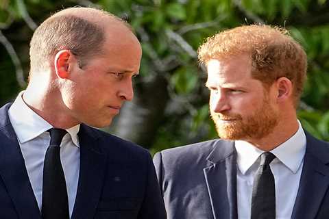 Prince Harry and William’s relationship ‘hanging by a thread’ before bombshell book exposing their..
