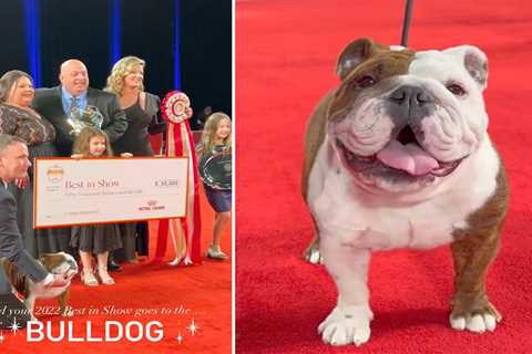 Controversial dog breed takes top prize at National Championship