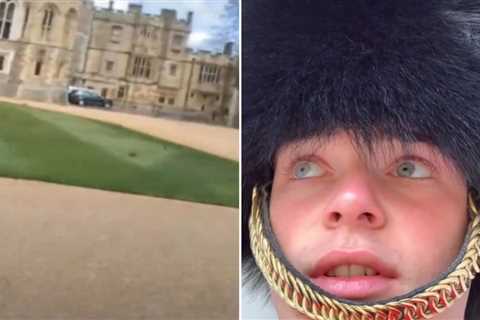 Shocking moment King’s Guard jokes he’s ‘staring at a duck’ on duty & admits ‘I’m meant to be..