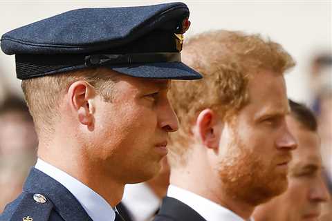 Prince Harry Reportedly Says That Prince William Physically Assaulted Him During An Argument About..