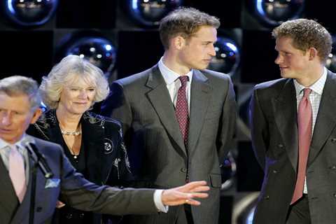 I feared Camilla would be my wicked stepmother – Prince William and I begged our dad King Charles..
