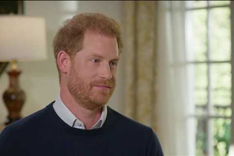 Prince Harry reveals new details of fight with William and says brother had ‘red mist’ over Meghan..