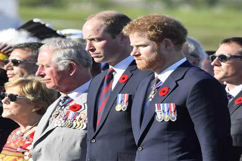Prince Harry ‘pleaded’ Palace for Remembrance wreath to be laid on his behalf