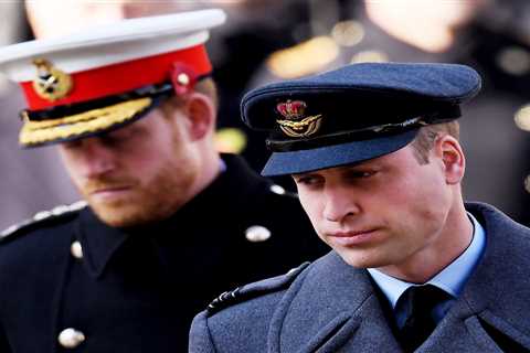 Prince William said Harry was being ‘brainwashed by his therapist’ and ‘wasn’t well’ sparking..