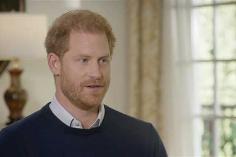 Royal fans are saying the same thing after Prince Harry moans about shopping in TK Maxx and buying..