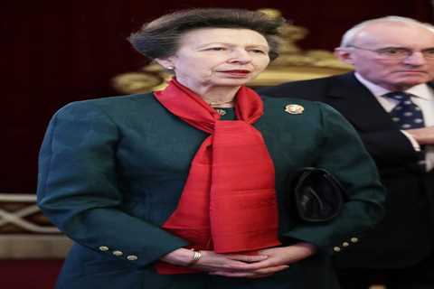 Princess Anne’s Bull Terrier savages another dog as witnesses say there was ‘a lot of blood and..