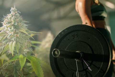 The Impact of Cannabis on Metabolism: Separating Fact from Fiction