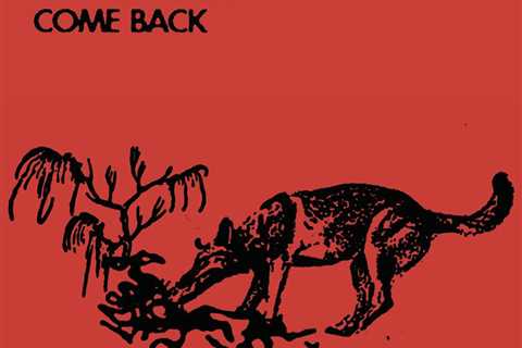 Frankie Rose – “Come Back”