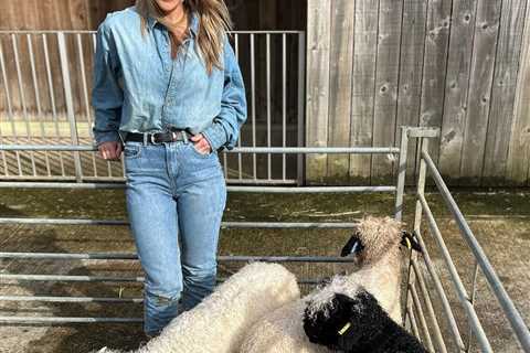 Springtime on the Farm’s Helen Skelton stuns fans as she ‘bring the glamour’ in smouldering..