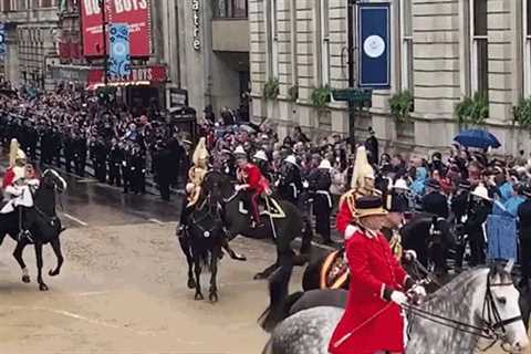 Moment horse crashes into barriers in front of shocked crowds during coronation procession
