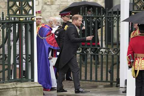 Inside Prince Harry’s whirlwind coronation trip – where he only spent 30 mins at Buckingham Palace..