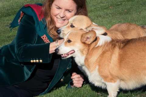 Sarah Ferguson reveals walking the late Queen’s corgis is helping her breast cancer recovery