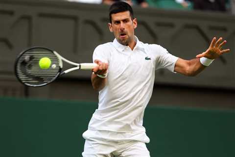 Novak Djokovic vs. Stan Wawrinka prediction: Wimbledon odds, picks