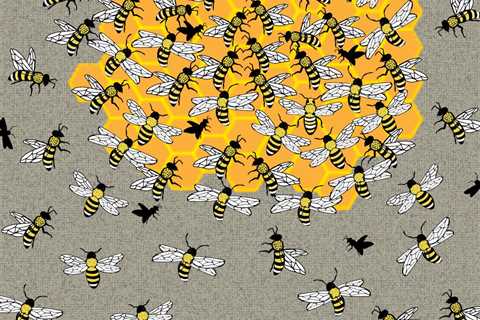You’re in the top 22% if you can spot the queen bee in less than 5 seconds