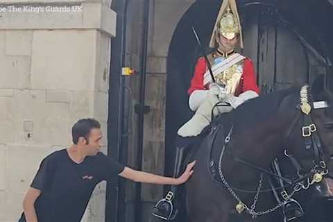 Adorable moment King’s Guard breaks protocol to allow man to pet horse – as Royal fan is left..