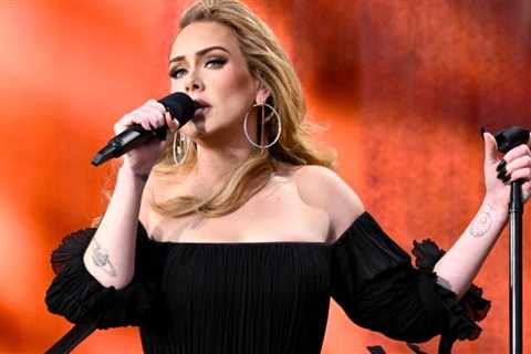 The Fan Adele Defended From Security Posted A Video Showing What Actually Happened During That..