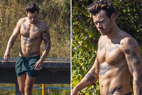 Harry Styles Shows Off Ripped Body in English Duck Pond