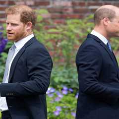 Prince Harry and William urged to grow up and end rift for the sake of their father