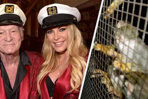 Crystal Hefner Said She Was “Constantly Crying” Over Everything At The Playboy Mansion As She..