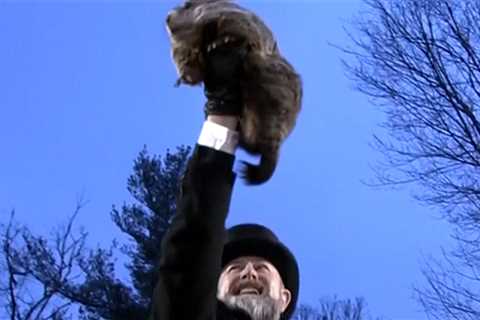 Punxsutawney Phil Doesn't See Shadow on Groundhog Day, Early Spring!