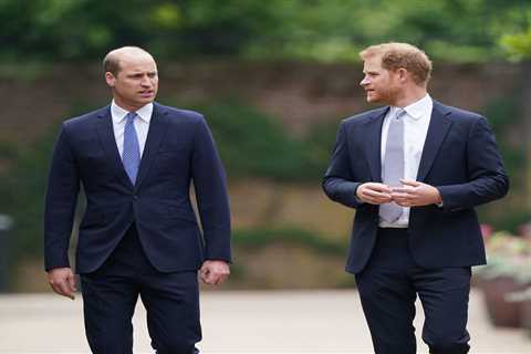 Prince Harry and William's Feud Began before Meghan, Says Insider
