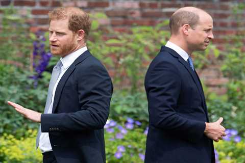 Prince Harry and William urged to grow up and end rift for the sake of their father
