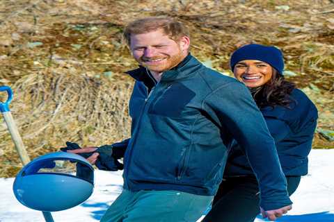 Prince Harry's Shameless Jet Trip to See King Charles Sparks Controversy