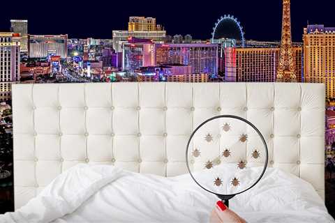 Bed Bug Outbreak at 4 Las Vegas Strip Hotels