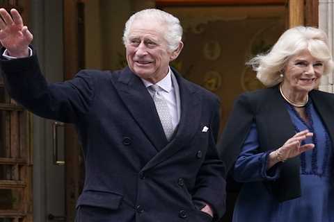 Camilla and Diana: A Contrast of Personalities - Expert Analysis