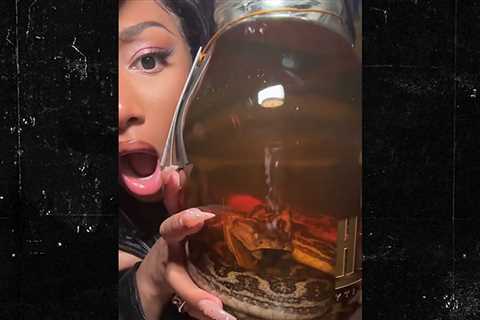 Megan Thee Stallion Drinks Booze From Snake-Filled Bottle In Japan