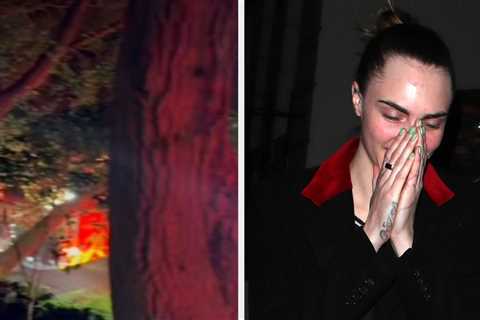 Cara Delevingne's Parents Spoke Out About The Heartbreaking Fire That Destroyed Her Home