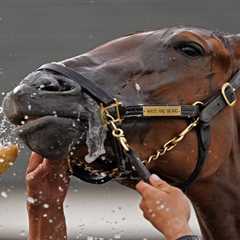 2024 Kentucky Oaks preview, prediction: Horses, odds, picks