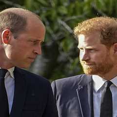 Prince William Reportedly Does Not Want Prince Harry at His Coronation