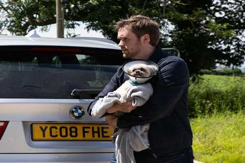 Emmerdale Star Hints at Shock Return for Beloved Dog After Abuse Storyline