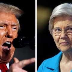 The Internet Is Frustrated With Sen. Elizabeth Warren For Tweeting About Donald Trump's Odd Cabinet ..