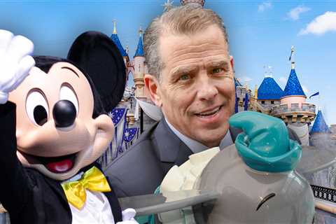 Hunter Biden Has Happy Family Day at Disneyland as Federal Sentencing Looms