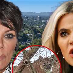 Mountain Lion Seen in Kris Jenner, Khloe Kardashian's Neighborhood